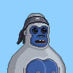 Moon Kong #1263
