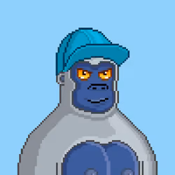 Moon Kong #723