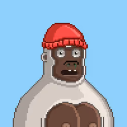Moon Kong #1305