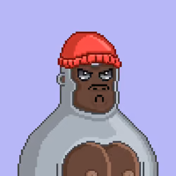 Moon Kong #1347