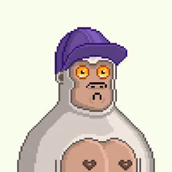 Moon Kong #501