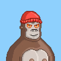 Moon Kong #1382