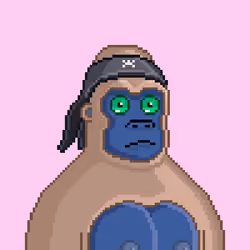 Moon Kong #467