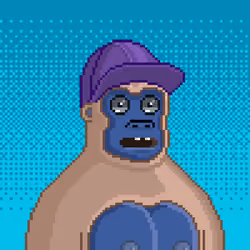 Moon Kong #1634