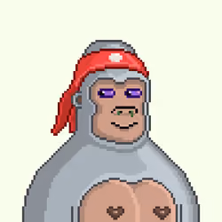 Moon Kong #66