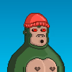 Moon Kong #1616