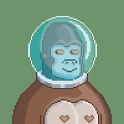 Moon Kong #1454