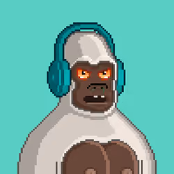 Moon Kong #1107