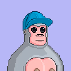 Moon Kong #569