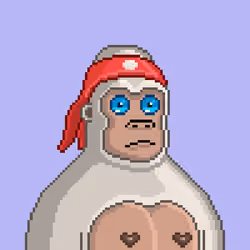 Moon Kong #381