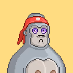 Moon Kong #1265
