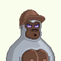 Moon Kong #1216