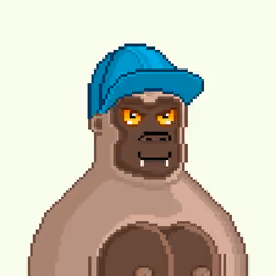 Moon Kong #1996