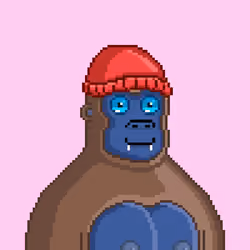 Moon Kong #917