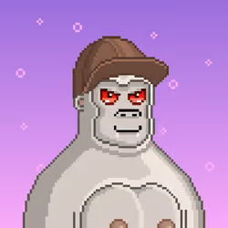 Moon Kong #360