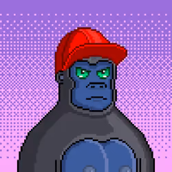 Moon Kong #570