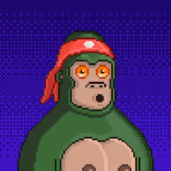 Moon Kong #1453