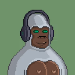 Moon Kong #410