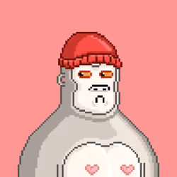 Moon Kong #1593