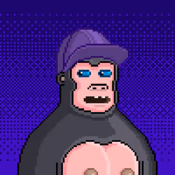 Moon Kong #1536
