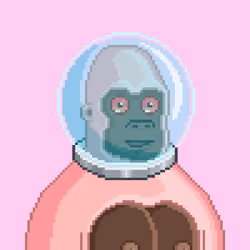Moon Kong #701