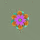 638
