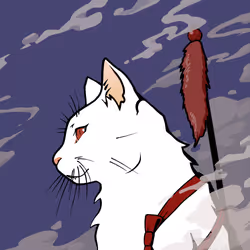 41# Meow