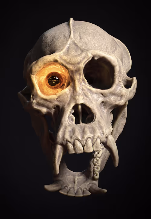 Item #31600030075 Media