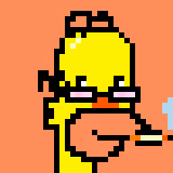 Springfield Punks #1553