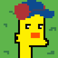Springfield Punks #3395