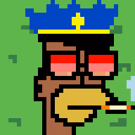 Springfield Punks #3369