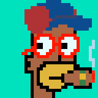 Springfield Punks #1707
