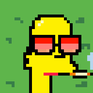 Springfield Punks #3364