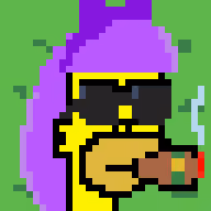 Springfield Punks #1513
