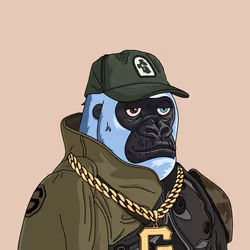 557