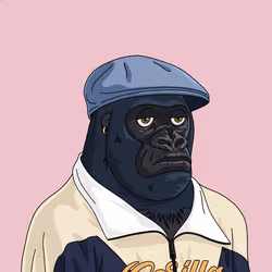 303