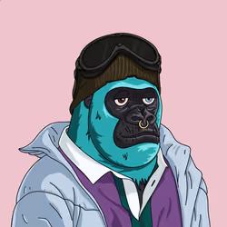 519