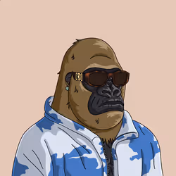 555