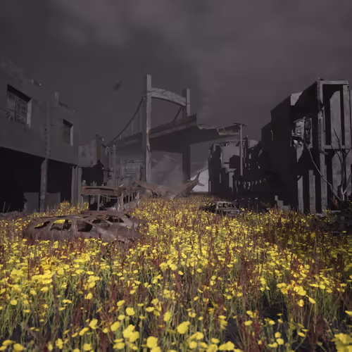 Virtual World Open Editions