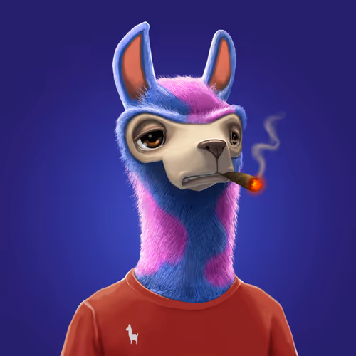 The Lucky Llamas