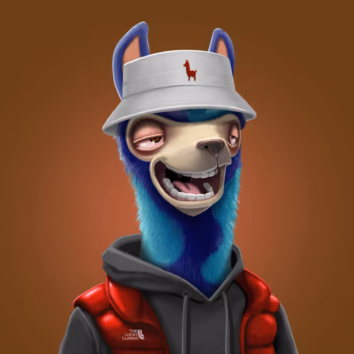 The Lucky Llamas