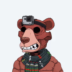 Dead Bear #853
