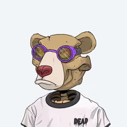 Dead Bear #901