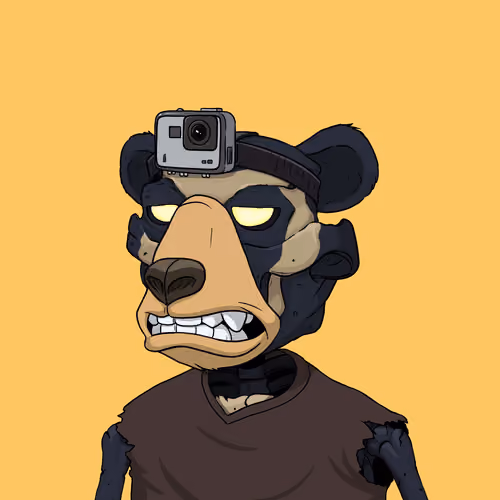 Dead Bear #2506