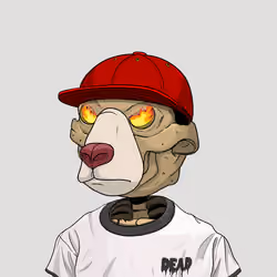Dead Bear #603