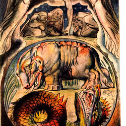 43641786597994029437468672644331609057680325500622833582744003389649489503411