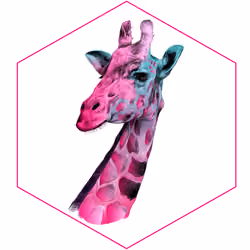 Pink Giraffe
