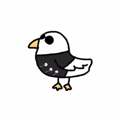 コルン