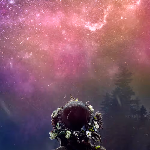SURREAL LANDSCAPE
