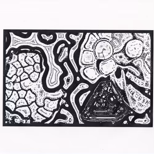 Crawl Woodblock Screenshots By Travess Smalley